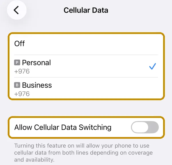 Cellular Data дэлгэц, Allow Cellular Data Switching